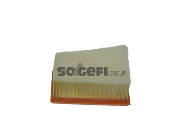 Filtru aer FRAM CA10249