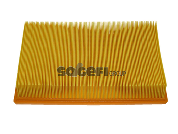Filtru aer FRAM CA9073