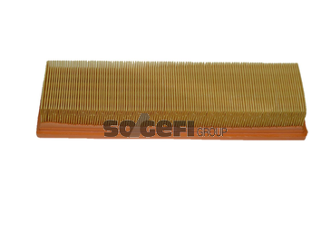 Filtru aer FRAM CA9313