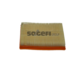 Filtru aer FRAM CA9494