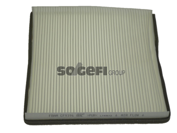 Filtru polen FRAM CF9396