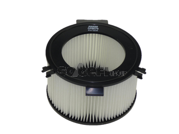 Filtru polen FRAM CF9579
