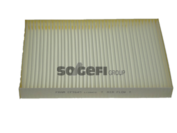 Filtru polen FRAM CF9645