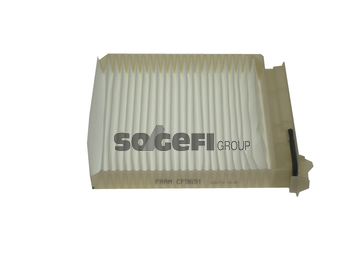 Filtru polen FRAM CF9691