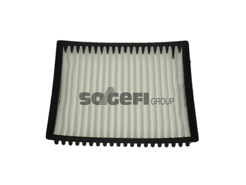 Filtru polen FRAM CF9846