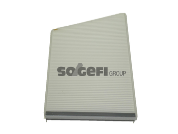 Filtru polen FRAM CF9905