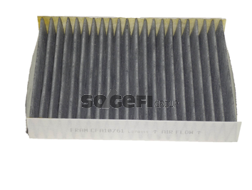 Filtru polen FRAM CFA10761