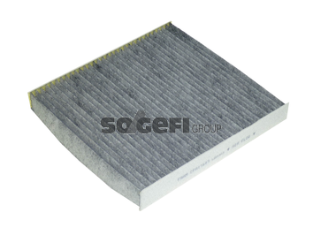 Filtru polen FRAM CFA11643