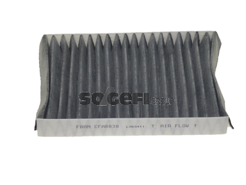Filtru polen FRAM CFA8838