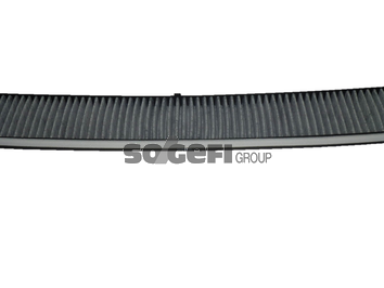 Filtru polen FRAM CFA8913
