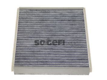Filtru polen FRAM CFA9406