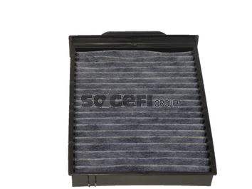 Filtru polen FRAM CFA9442