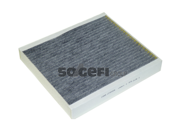 Filtru polen FRAM CFA9904