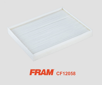 Filtru polen FRAM CF12058