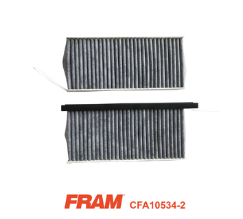 Filtru polen FRAM CFA10534-2