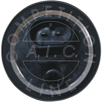 Pompa combustibil AIC 52495