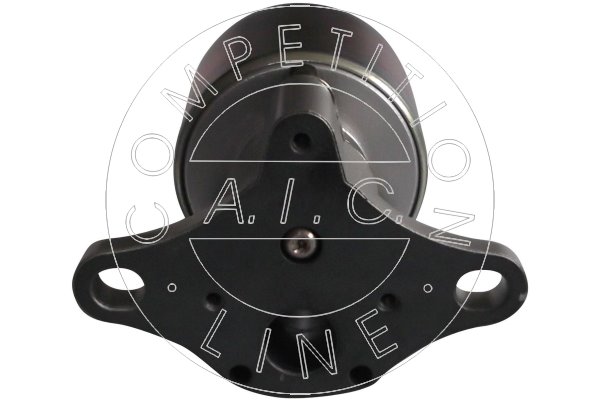 Supapa EGR AIC 55764