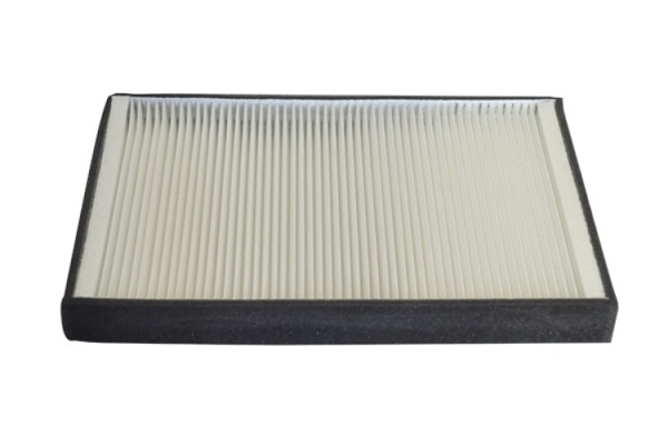 Filtru polen MTR 12135367