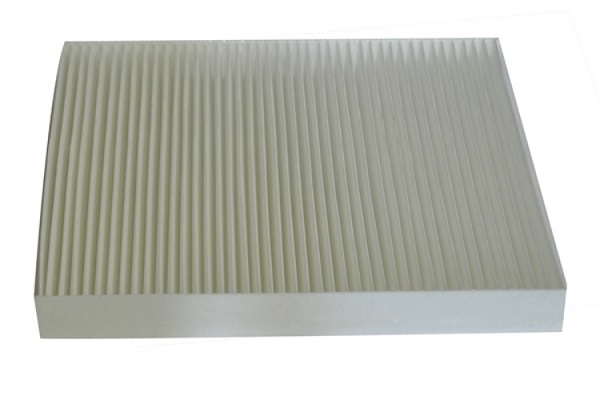 Filtru polen MTR 12135371