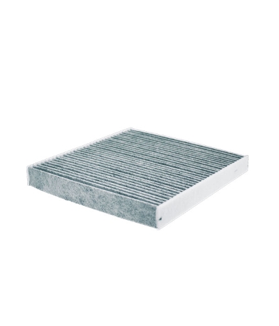 Filtru polen MTR 12138281