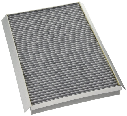 Filtru polen MTR 12138348