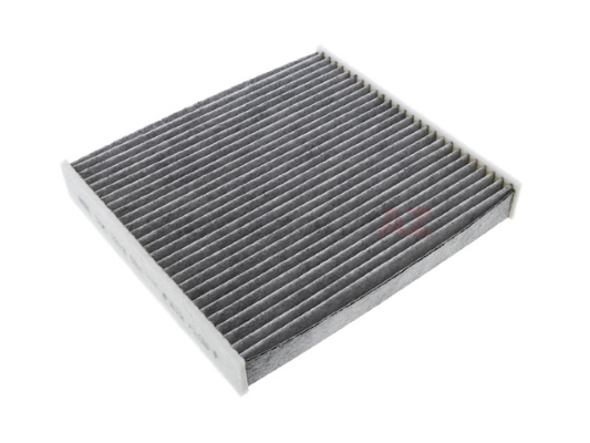 Filtru polen MTR 12138469