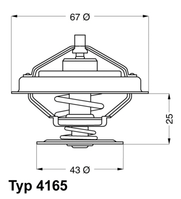 Termostat lichid racire WAHLER 4165.79D
