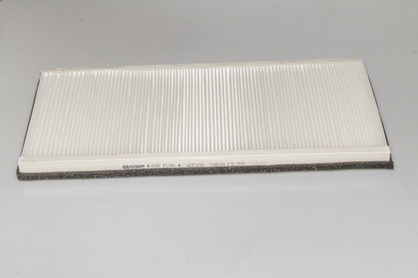 Filtru polen QWP WCF205