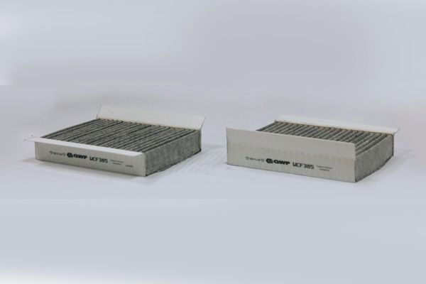 Filtru polen QWP WCF385