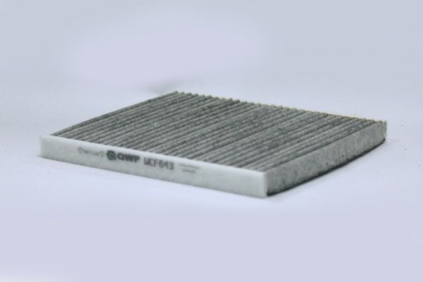 Filtru polen QWP WCF643