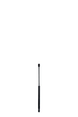 Amortizor portbagaj QWP WGS120