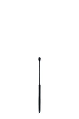 Amortizor portbagaj QWP WGS507