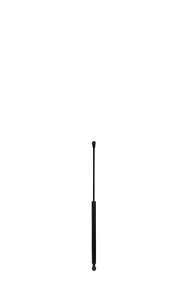 Amortizor portbagaj QWP WGS571