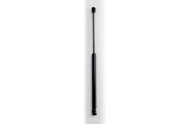Amortizor portbagaj QWP WGS598