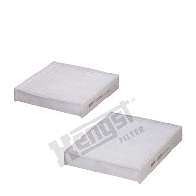 Filtru polen HENGST FILTER E2967LI-2