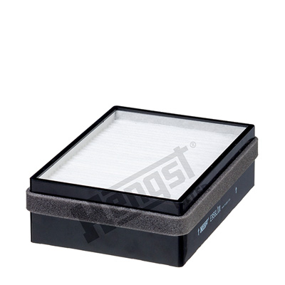 Filtru polen HENGST FILTER E956LI01