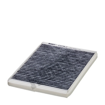 Filtru polen HENGST FILTER E979LC