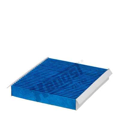 Filtru polen HENGST FILTER E2987LB