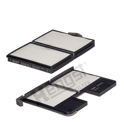 Filtru polen HENGST FILTER E2934LI-2