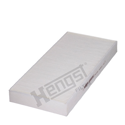Filtru polen HENGST FILTER E6955LI