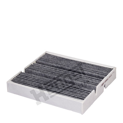 Filtru polen HENGST FILTER E5965LC