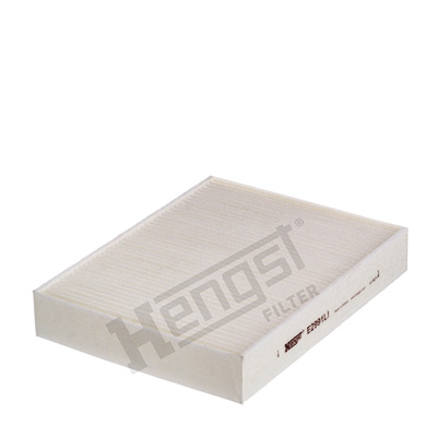 Filtru polen HENGST FILTER E2991LI