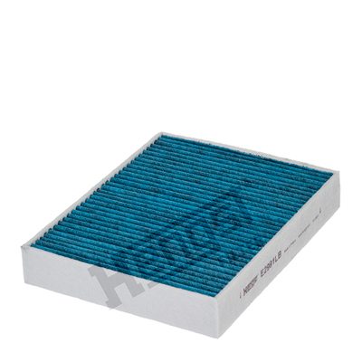 Filtru polen HENGST FILTER E2991LB
