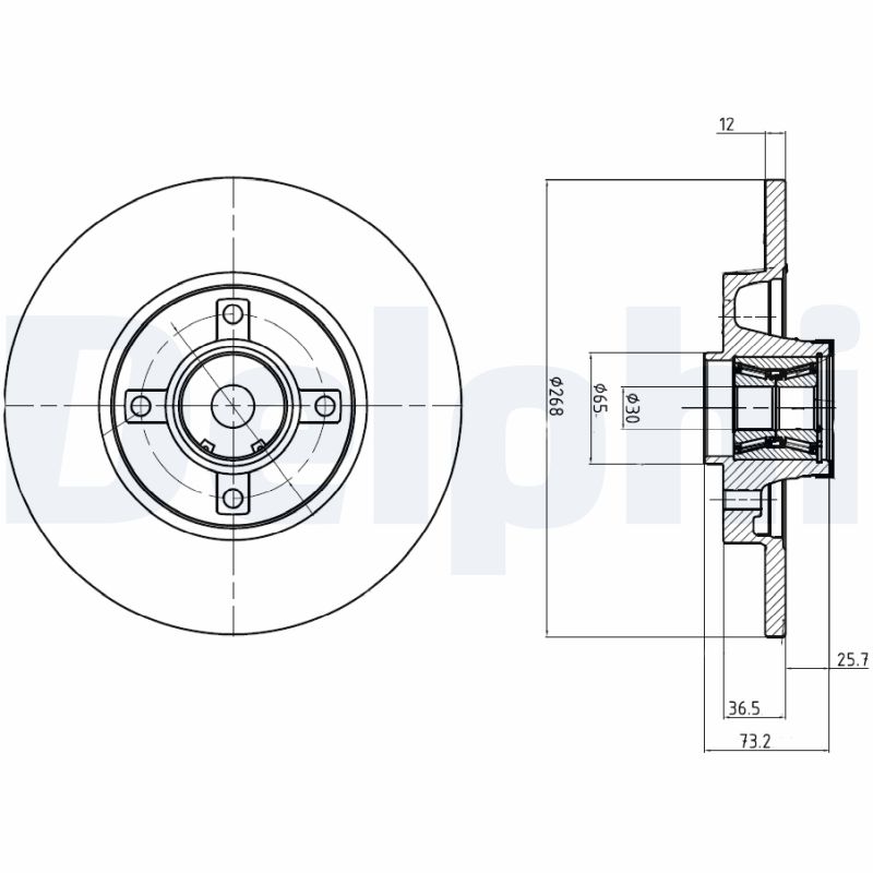 Disc frana DELPHI BG9053RSC