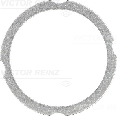 Garnitura chiulasa VICTOR REINZ 61-38260-30