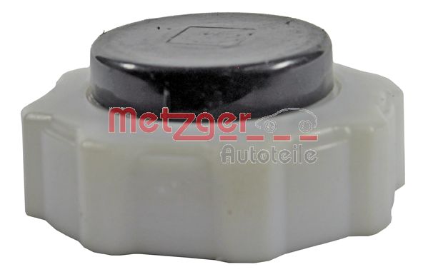 Buson vas expansiune METZGER 2140105