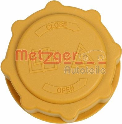 Buson vas expansiune METZGER 2140147