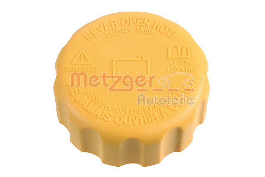 Buson vas expansiune METZGER 2141034