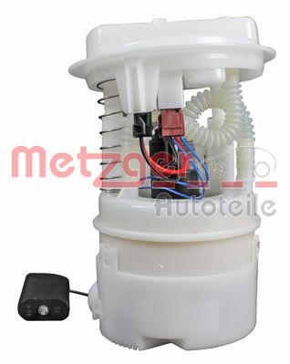 Sistem alimentare cu combustibil METZGER 2250186