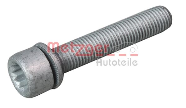 Surub etrier VW TOURAN (1T1, 1T2) 1.9 TDI  diesel 105 cai METZGER 6250007S